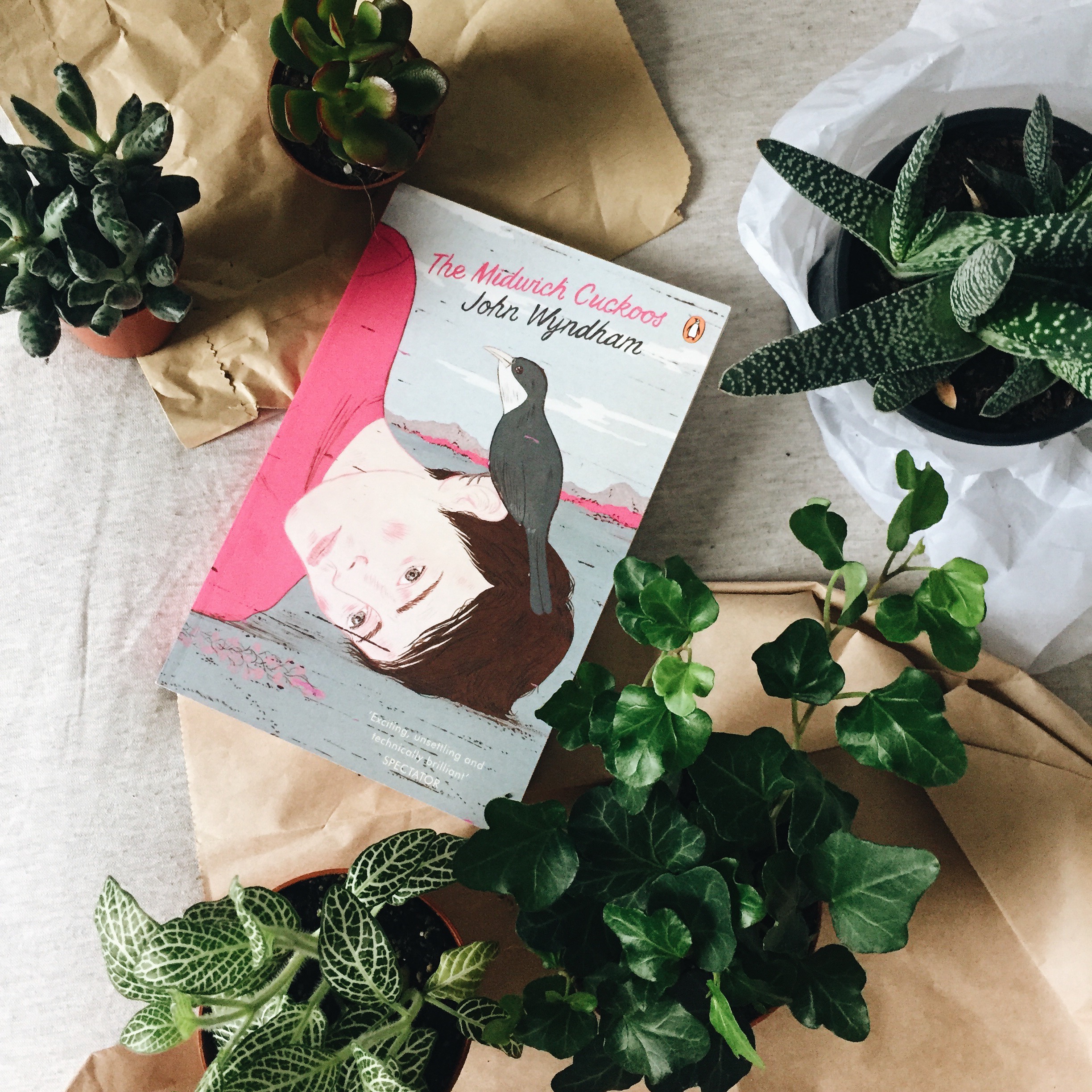 My Favourite Succulent and Cacti Shops in East London 🌵