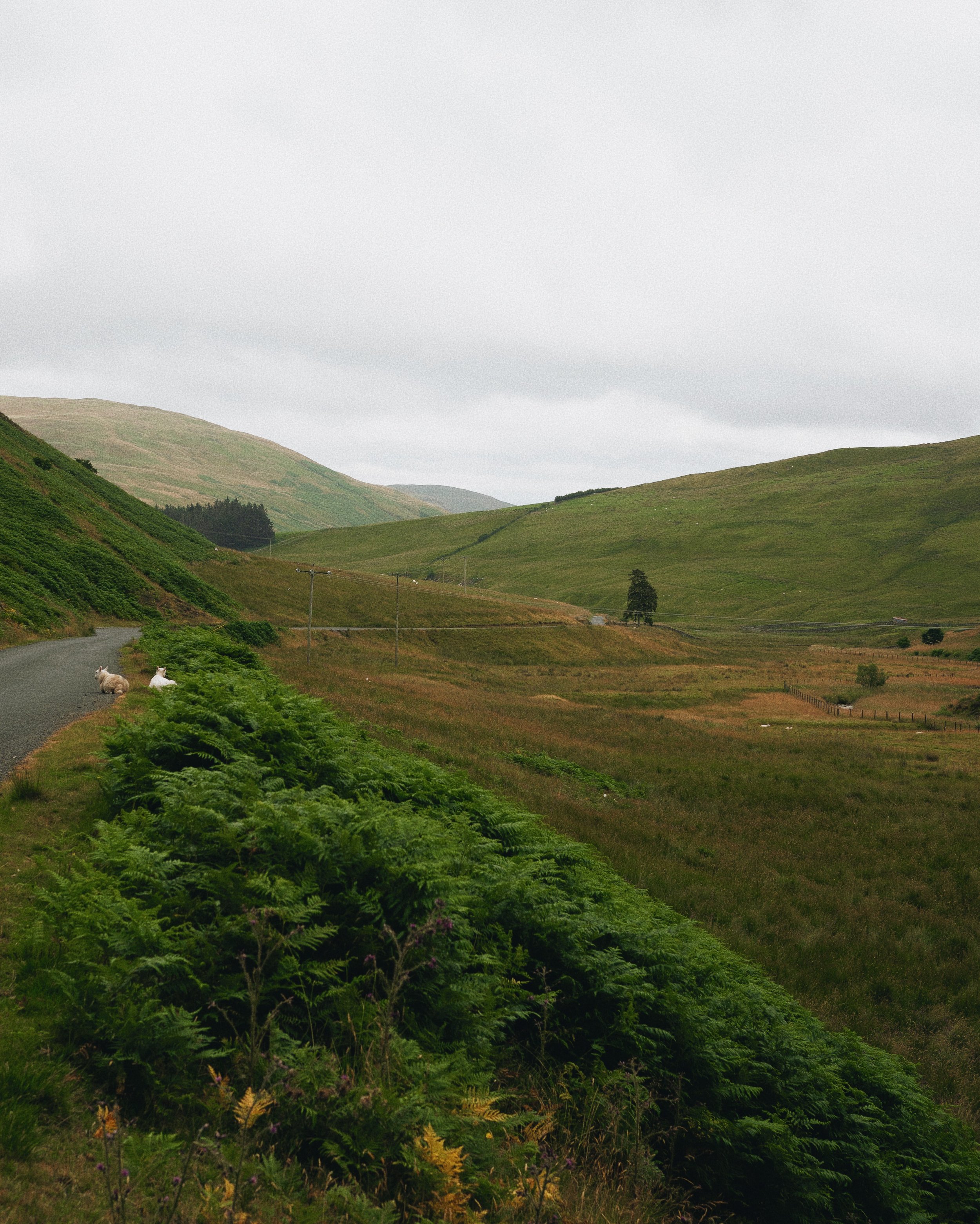 A Tour of The Scottish Borders: Tracking Sir Walter Scott & the Border Ballads