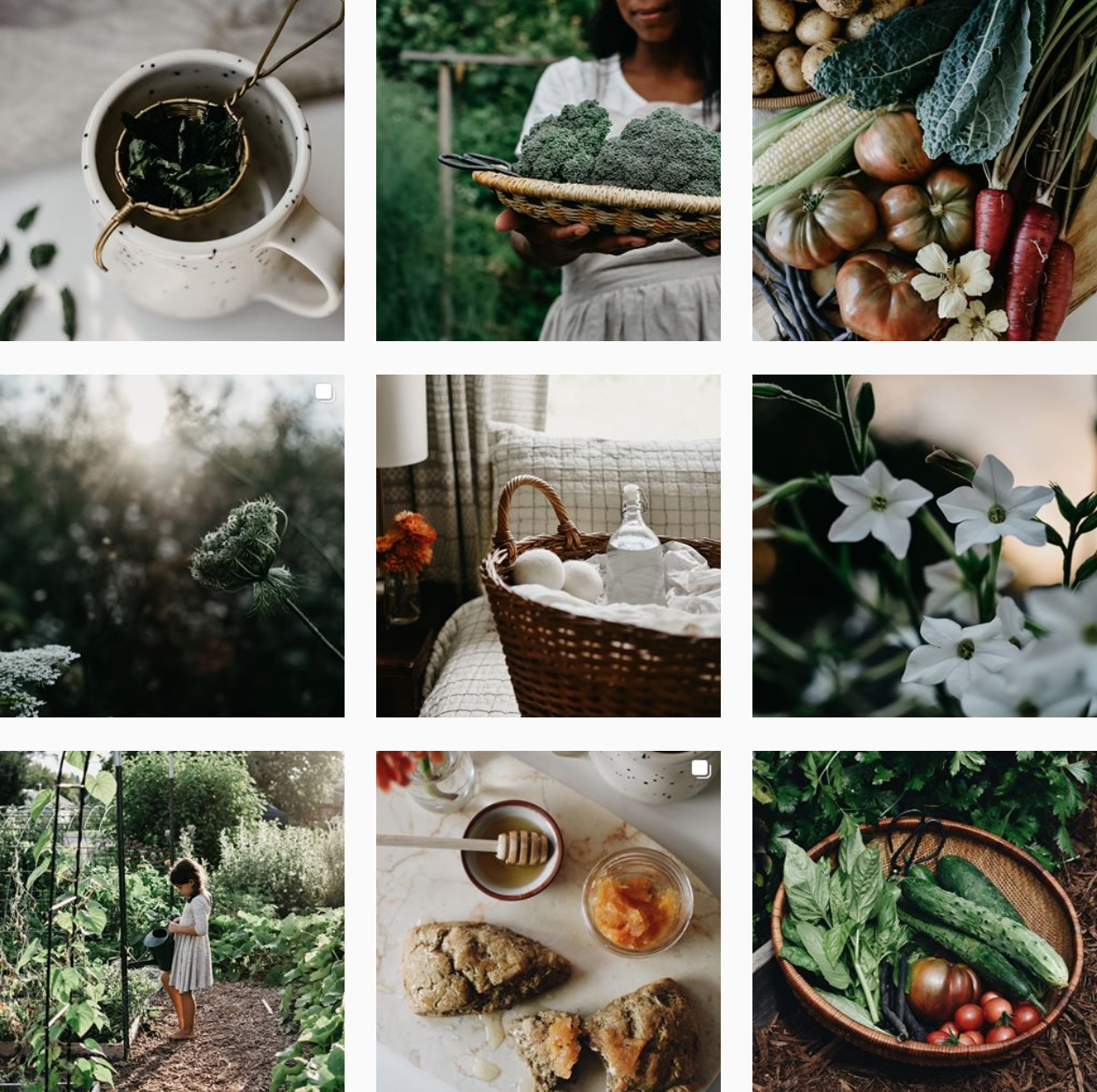 25 Nature and Cottagecore Instagrammers to Dream Away With